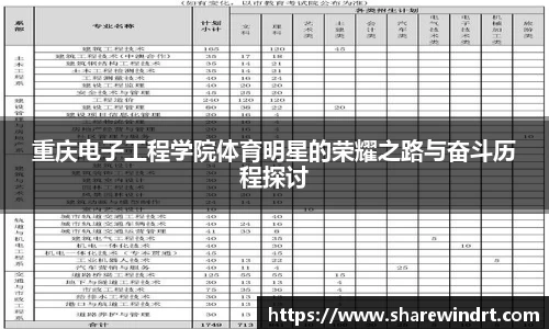 重庆电子工程学院体育明星的荣耀之路与奋斗历程探讨